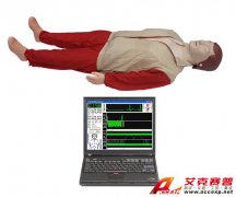 TSI CPR780型高級心肺復(fù)蘇模擬人